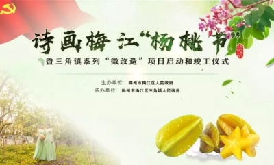 令人“桃”醉！诗画梅江“杨桃节”在剑英公园湖心岛举行