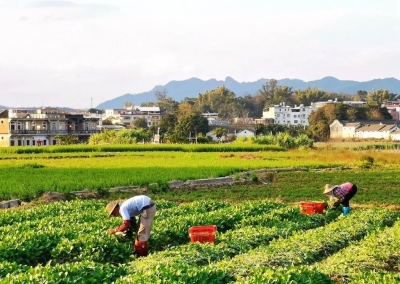 春节黄金周游人如织，梅县乡村游展现新活力