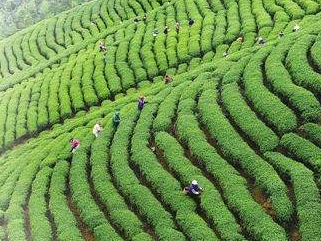 学习笃行丨把握生态产业化 推动高质量发展