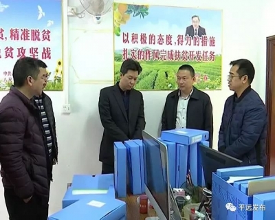 杨栋：提高政治站位，压实责任，做好迎检各项工作