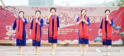 形式多样、精彩纷呈！大埔举行贺新春文艺演出