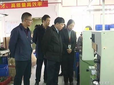 暖企在行动！宋才华率队到平远工业园区为企业“会诊把脉”