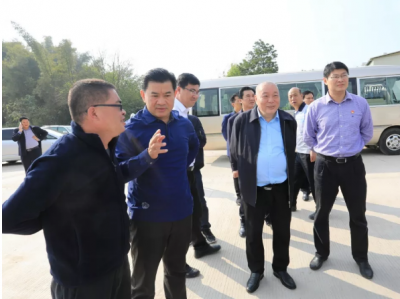 提升政务服务速度，全力服务实体经济发展！梅县区在抓紧行动