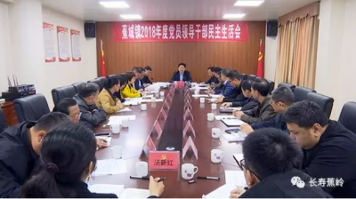 陈伟明参加和指导蕉城镇党政领导班子民主生活会