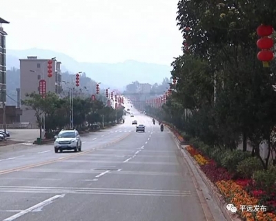 喜迎新春佳节！60余万株鲜花扮靓平远县城