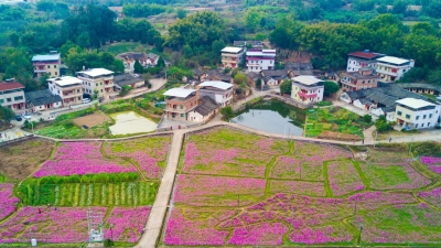 梅江区西阳镇新联村为你种下的花海，心动了吗？