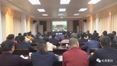 蕉岭组织收看收听全省实施乡村振兴战略工作推进会