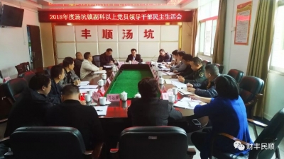 廖茂忠到丰顺汤坑镇指导2018年度领导班子民主生活会