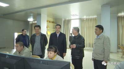 刘彩波到企业走访调研：加速产业绿色转型 推动经济高质量发展