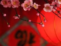 梅县举行“百企帮百村” 新春送温暖活动