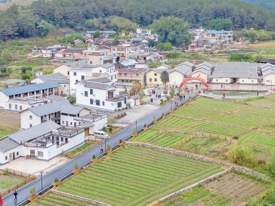 春节絮语丨我为家乡做件事：振兴乡村当“三员”