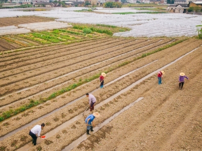 全面护航春耕！梅县区开展“农资打假保春耕”专项行动