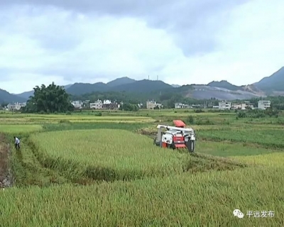 平远：创新发展特色农业，农民有效增收致富