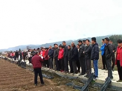 种植大户集体“充电”！平远东石举办花生标准化种植示范基地观摩培训