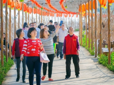 回眸2018丨去年接待游客4600万人次，梅州“宜游城市”招牌进一步打响