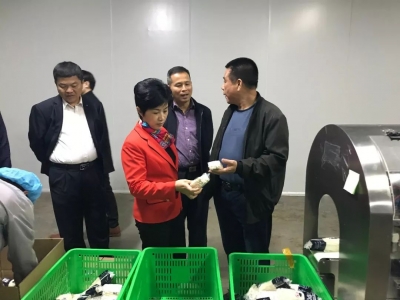 丰顺县领导到挂点企业开展“暖企行动”