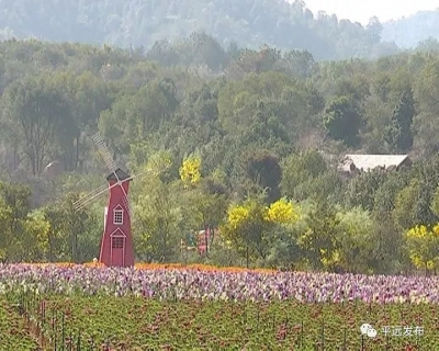 平远：全力创建全域旅游示范县，推动旅游工作实现高质量发展