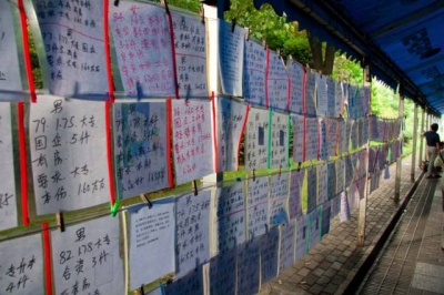 春节将至　中国城市公园“相亲角”人气火爆
