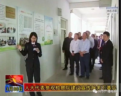 兴宁市检察院邀请部分镇村人大代表视察检察工作