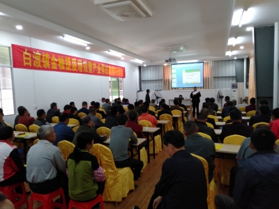 做强做优金柚产业！梅县白渡镇举行金柚提质增效培训