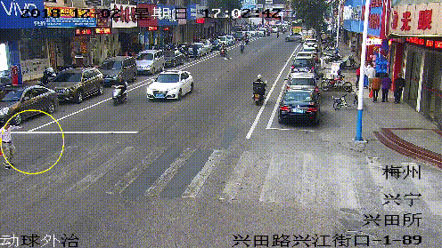 视频曝光！兴宁一司机斑马线未停车避让行人，结果...