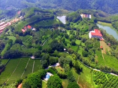 学习笃行丨创森进入冲刺期 打好百日攻坚战