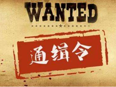 国际刑警组织对卡舒吉案20名嫌疑人发红色通缉令