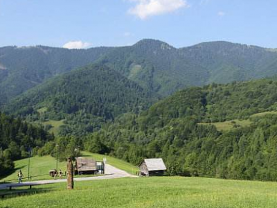 小记者吴媛媛作品 | 守林人