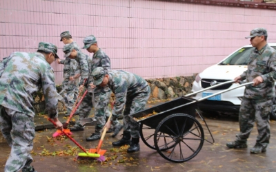 为美好家园贡献力量！3.5学雷锋日，他们以实际行动践行雷锋精神
