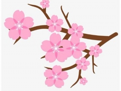 别犹豫！告诉你一个五华县最真实的桃花源