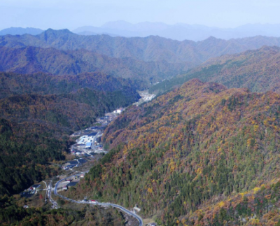 陕西开展打击整治破坏秦岭野生动物资源违法犯罪专项行动