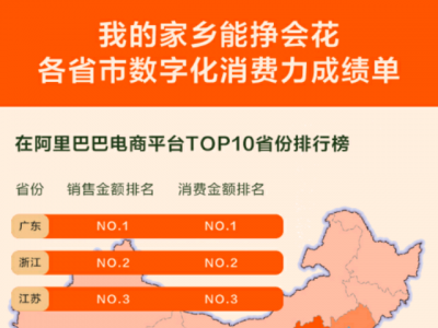 阿里公布中国数字消费力前十大省市，广东排第一