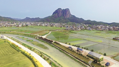 “一水五村”绘好振兴画卷！平远石正镇串点成线探索连片示范模式