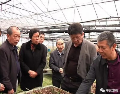 华农大与梅州绿盛科技签约合作，助推平远县南药产业发展壮大