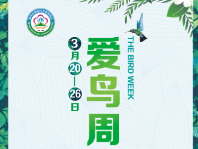 亲！这里有份倡议书，一起来爱鸟护鸟吧