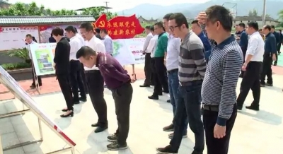 全市实施乡村振兴战略工作推进会与会人员到大埔考察