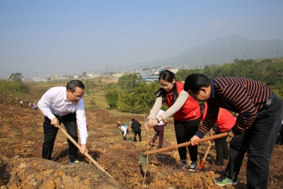 美了环境 鼓了腰包！看丰顺如何走出生态富民强县新路