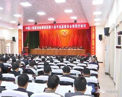 平远县政协委员建言献策话促发展