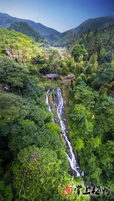 学习笃行丨打好生态长寿牌 走好绿色发展路