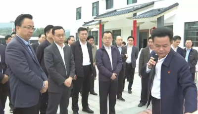 谈感受谈想法！全市乡村振兴工作会议现场考察走进大埔