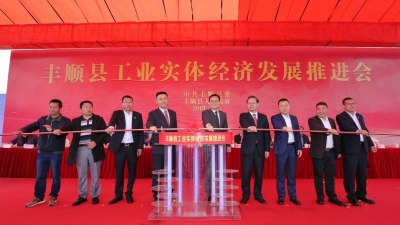 大手笔！29个项目总投资102.3亿元！丰顺举行工业实体经济推进会