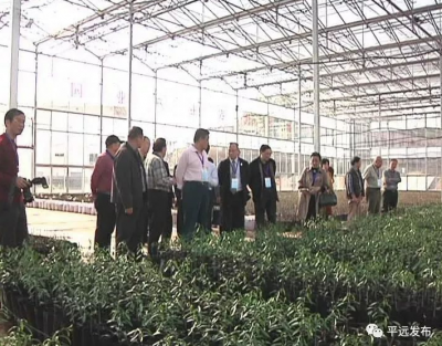 省政府参事室调研组一行到平远调研乡村振兴工作