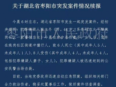 湖北男子驾车撞人致6行人死亡被击毙 事前杀伤妻女 