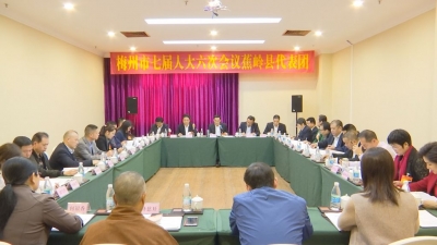 黄建固、温向芳参加蕉岭代表团分组讨论 希望蕉岭加快打造梅州寿乡品牌之星