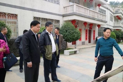 李郇一行到大埔调研乡村振兴工作