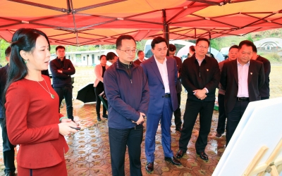 陈敏到梅江区调研特色小镇建设：因地制宜产业先行 抓实特色小镇建设