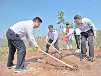 为五华再添新绿！县领导带头参加义务植树活动 