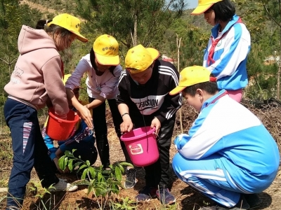 春光无限好，植树正当时！平远县开展义务植树活动