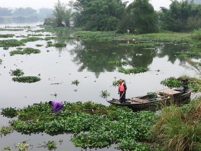 守护“一湖清水”！梅县“清道夫”出击，集中开展河湖整治工作