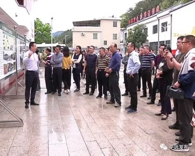 市考察团到平远考察乡村振兴工作